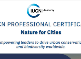 Image: uploads/2026_03/Screenshot_2026-03-25_at_1.11.29PM.png