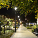 Castle St footpath – a flush surface policy was adopted to improve pedestrian accessibility through the campus, using contrasting pavers to break up large areas of hard paving.