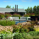 The swimming pool is nestled in the garden on the northern side of the house.