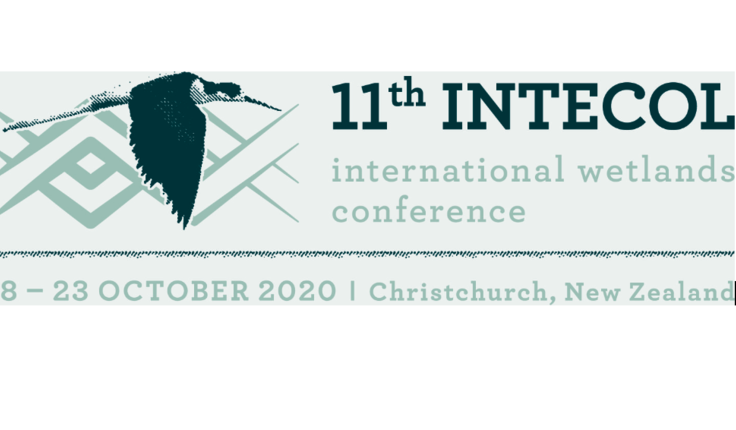 Image: uploads/2019_06/Screen_Shot_2019-06-24_at_11.54.13_AM.png