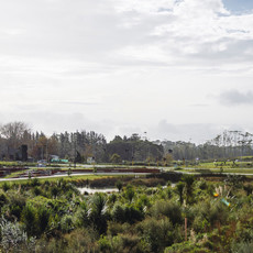 Photography: David St George