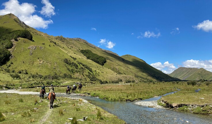 Vivian + Espie office horse trekking at Moke Lake.