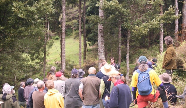 Paul Quinlan speaking at a Northland Totara Working Group field day