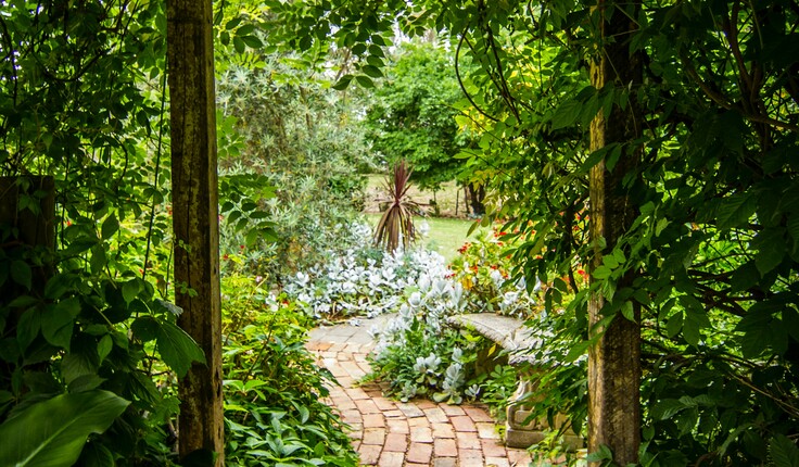 Photo by Tim Cooper on Unsplash