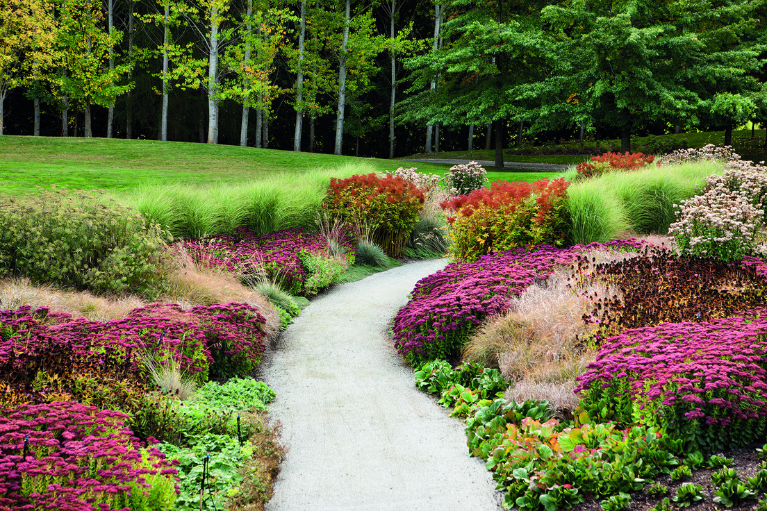 The perennial walk and its summer display of colours.