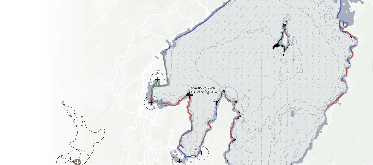 Mosaic of Intertidal Habitat along Wellingtons coast