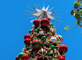 This is the biggest Christmas tree in New South Wales and sits in Martin Place in central Sydney. It is decorated with more than 110,000 LED lights, a 3.4-metre colour-changing star and 330 specially created glossy baubles. The tree’s 800 branches are dressed with 15,000 flowers representing 9 different kinds of Australian flowers: banksia, waratah, bottlebrush, wattle, eucalyptus gum flower, kangaroo paw, flannel flower, pink wax flower and white wax flower. Image credit - Vicki Clague.