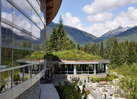 Green Roof