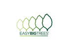 Easy Big Trees