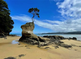 📸 DOC - Abel Tasman Coast Track where Angela is looking forward to some time outdoors with her whānau and friends over summer!