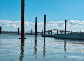 Have we got what it takes to turn Auckland into a world class city asks Garth Falconer.