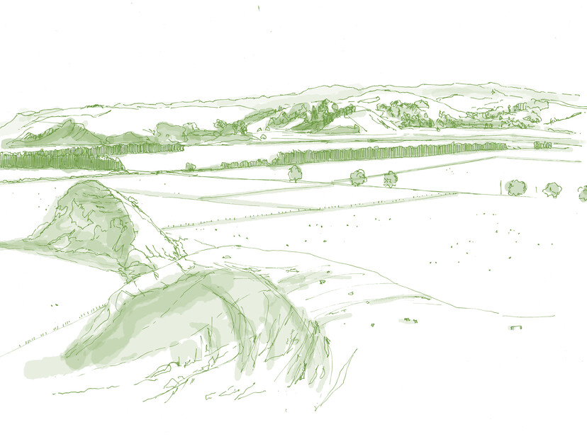 Napier Landscape Study