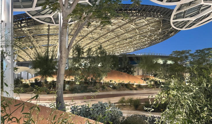 LANDSCAPE ARCHITECT FIRM: desert INK