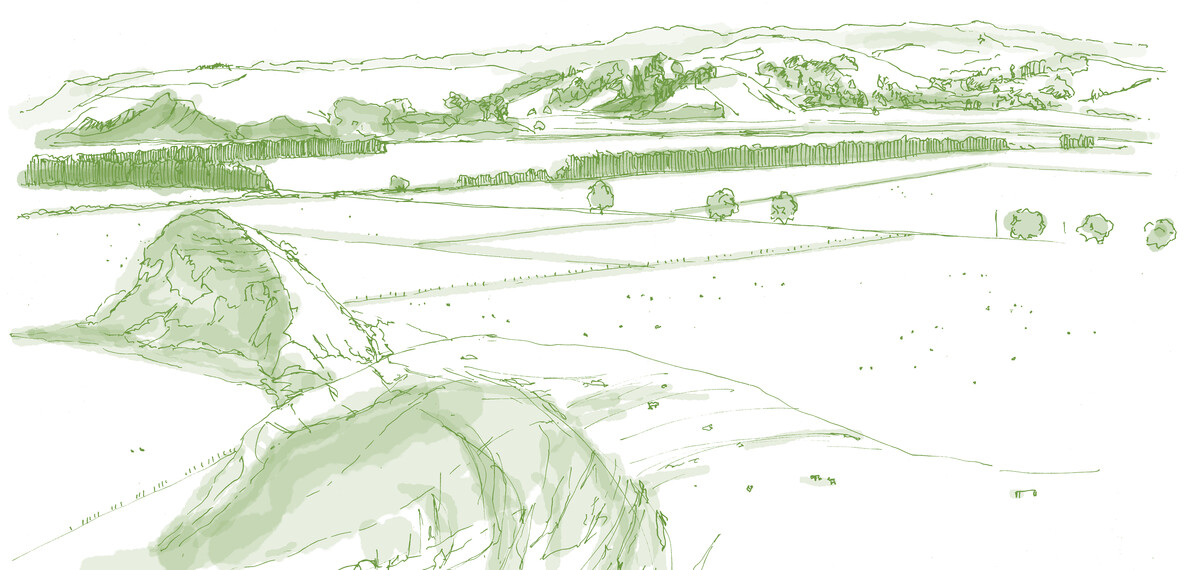 Napier Landscape Study