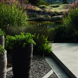 View from the herb garden across the pond, through the tall miscanthus, towards the Chris Booth sculture.