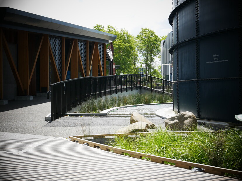 Image: uploads/2024_02/Waiaroha_1_Ihl2fx5.JPG