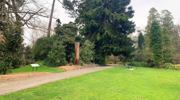 Image: uploads/2025_08/CCC_BotanicGardens_News_article_August_2025_626x365.png