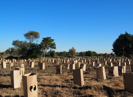 1600 Plants planted by over 70 volunteers