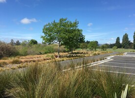 Eliot Sinclair developed a plan to repair and regenerate Horseshoe Lake reserve in North East Christchurch.