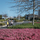 Photo credit: Jay Farnworth/Boffa Miskell