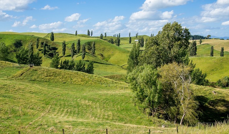 The Government says the RMA hasn’t sufficiently protected the environment, and wasn’t clear enough about how to apply the purpose of sustainable management of natural and physical resources. It says managing adverse effects has been too often achieved through litigation on a case-by-case basis – with insufficient overarching vision as to what needs be achieved for the natural and built environments.