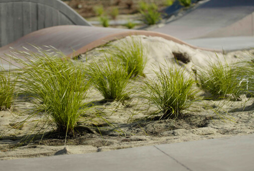 NZILA CPD EVENT: Lunchtime learning with NZILA National Partner Advance Landscape Systems