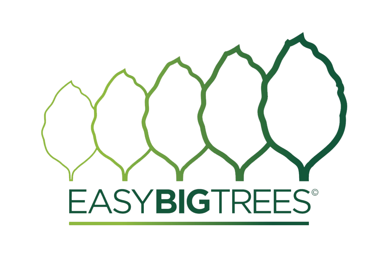 Easy Big Trees